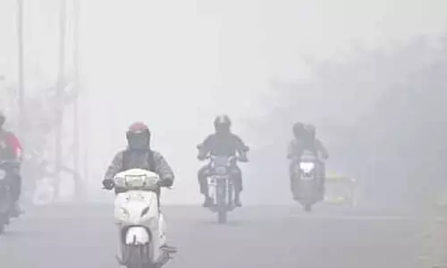 ओडिशा के छह जिलों में कल हल्का से मध्यम कोहरा रहने की संभावना: IMD