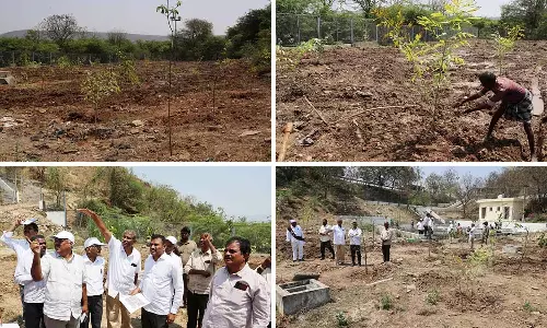 Tirupati देवस्थानम ने रामतीर्थम-लक्ष्मणतीर्थम पहाड़ियों पर हरियाली बढ़ाने की पहल Tirupati देवस्थानम ने रामतीर्थम-लक्ष्मणतीर्थम पहाड़ियों पर हरियाली बढ़ाने की पहल