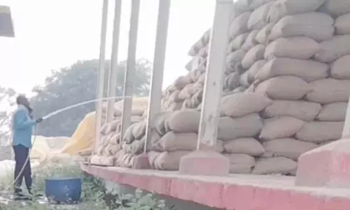 भलेरा सहकारी समिति में धान खरीदी में गड़बड़ी का आरोप, बोरियों में पानी डालने का वीडियो वायरल भलेरा सहकारी समिति में धान खरीदी में गड़बड़ी का आरोप, बोरियों में पानी डालने का वीडियो वायरल