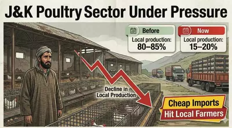 बाहरी सप्लाई बढ़ने से J&K में लोकल पोल्ट्री फार्म बंद हो गए बाहरी सप्लाई बढ़ने से J&K में लोकल पोल्ट्री फार्म बंद हो गए