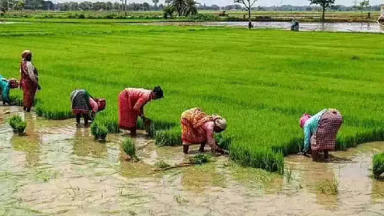 Tiruchi Collector ने कहा कि लैंड रेवेन्यू रिकॉर्ड जल्द ही जारी किए जाएंगे Tiruchi Collector ने कहा कि लैंड रेवेन्यू रिकॉर्ड जल्द ही जारी किए जाएंगे