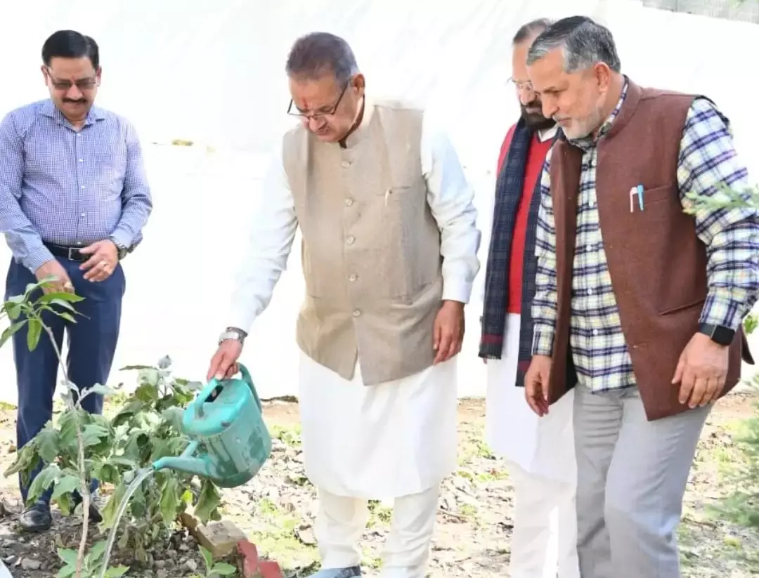 Dehradun: हरियाली बढ़ाने की पहल, गणेश जोशी ने किया पौधरोपण Dehradun: हरियाली बढ़ाने की पहल, गणेश जोशी ने किया पौधरोपण