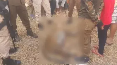 Assam: दुलियाजान में स्थानीय लोगों ने तेंदुए को मार डाला Assam: दुलियाजान में स्थानीय लोगों ने तेंदुए को मार डाला