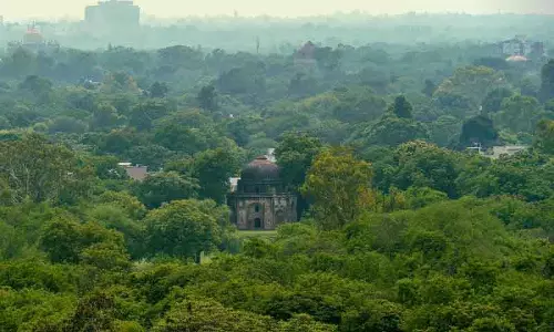 Delhi सरकार ने राजधानी में वन प्रभागों के लिए नई सीमाएं अधिसूचित कीं