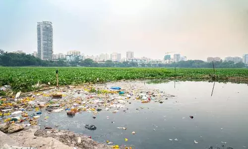 कचरा डंपिंग ग्राउंड को अटल मेमोरियल गार्डन में बदलेगी Delhi सरकार