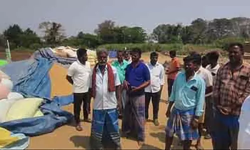 खरीद केंद्रों पर धान के बंडलों का ढेर लग रहा है - Farmers परेशान हैं खरीद केंद्रों पर धान के बंडलों का ढेर लग रहा है - Farmers परेशान हैं