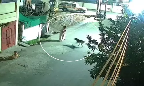 बाप रे LIVE वीडियो: आवारा कुत्तों ने बुजुर्ग महिला पर किया हमला, राहगीरों ने बचाई जान