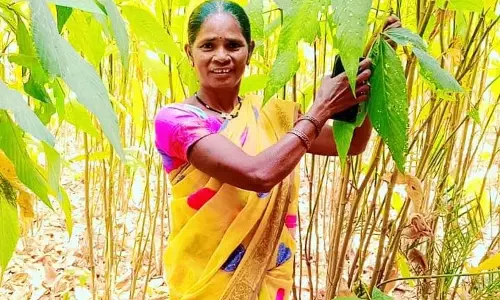 स्व-सहायता समूह से जुड़कर लखपति दीदी बनी कांतिबाई