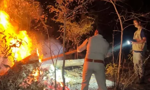 बलौदाबाजार वनमंडल के जंगल में लगी आग बलौदाबाजार वनमंडल के जंगल में लगी आग