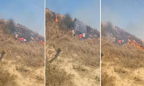MP : मुरैना में चंबल के बीहड़ों के पास सूखी झाड़ियों में लगी भीषण आग MP : मुरैना में चंबल के बीहड़ों के पास सूखी झाड़ियों में लगी भीषण आग