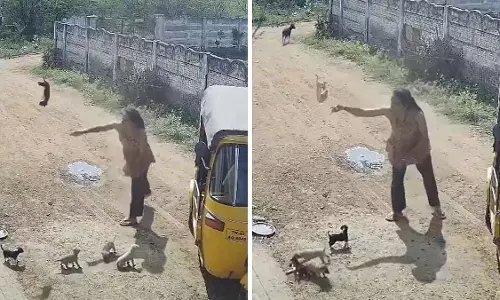 Tamil Nadu में पड़ोसी से झगड़े के बाद महिला ने 2 कुत्तों के पिल्लों को कुचलकर मार डाला