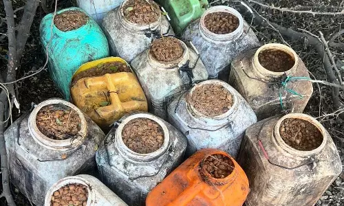 आबकारी विभाग की बड़ी कार्रवाई, 20 लीटर कच्ची महुआ शराब-लाहन जब्त आबकारी विभाग की बड़ी कार्रवाई, 20 लीटर कच्ची महुआ शराब-लाहन जब्त