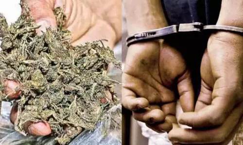 eelugumilli पुलिस ने 598 किलो गांजा के साथ दो तस्करों को पकड़ा eelugumilli पुलिस ने 598 किलो गांजा के साथ दो तस्करों को पकड़ा