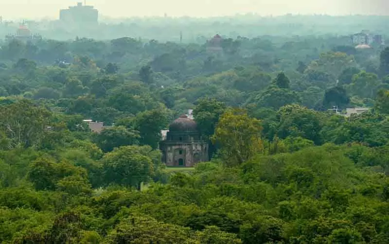 Delhi सरकार ने राजधानी में वन प्रभागों के लिए नई सीमाएं अधिसूचित कीं Delhi सरकार ने राजधानी में वन प्रभागों के लिए नई सीमाएं अधिसूचित कीं