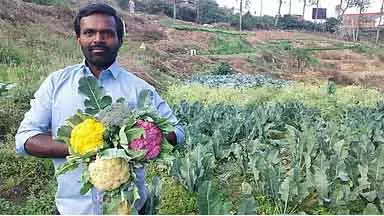 Tamil Nadu : कोडईकनाल के एक किसान ने कई रंगों की फूलगोभी उगाई Tamil Nadu : कोडईकनाल के एक किसान ने कई रंगों की फूलगोभी उगाई