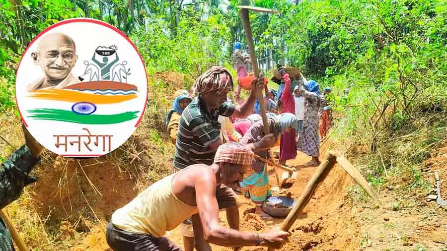 NREGA योजना को रोकने की योजना है: अर्थशास्त्री जॉन ड्रीस NREGA योजना को रोकने की योजना है: अर्थशास्त्री जॉन ड्रीस
