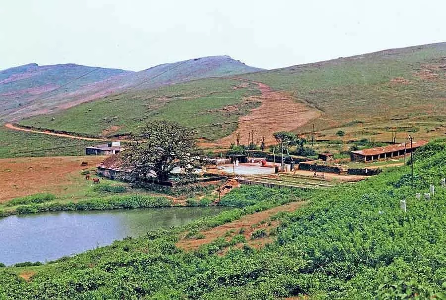Karnataka : बाबा बुदनगिरी में उरुस की अनुमति देने की मांग Karnataka : बाबा बुदनगिरी में उरुस की अनुमति देने की मांग