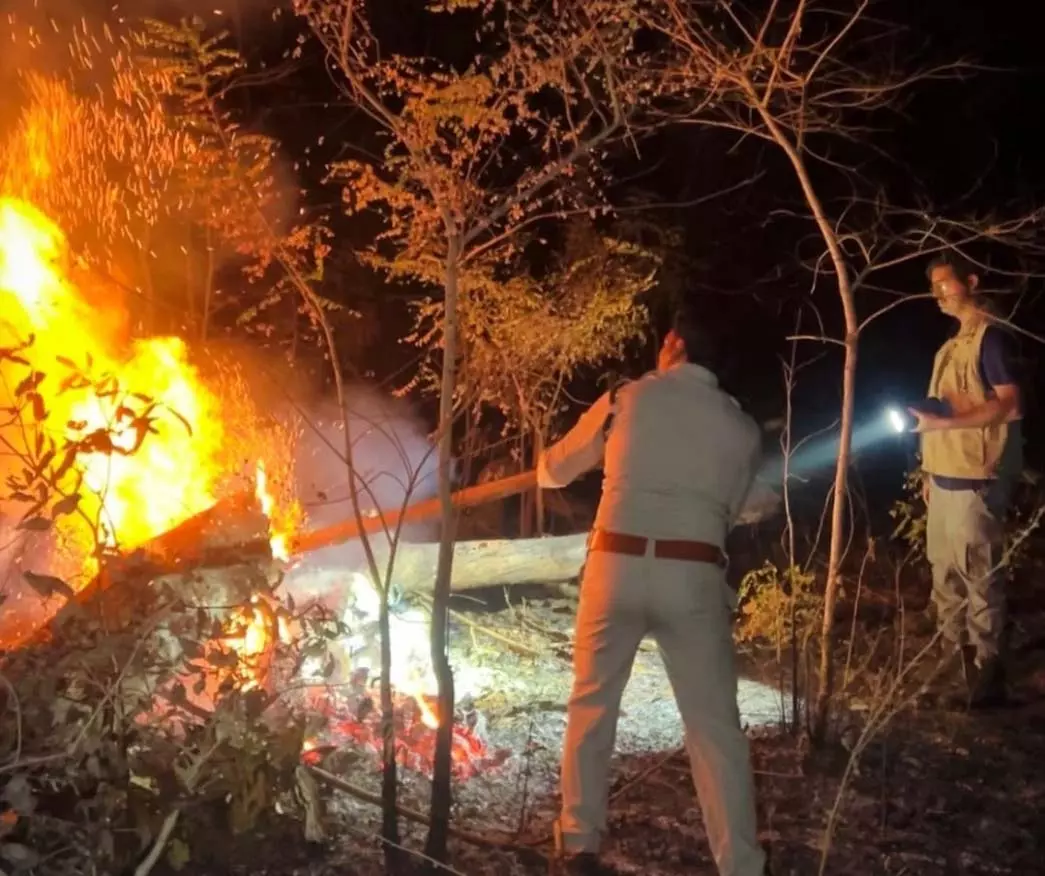 बलौदाबाजार वनमंडल के जंगल में लगी आग बलौदाबाजार वनमंडल के जंगल में लगी आग