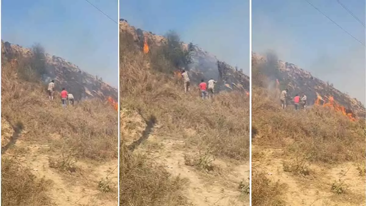 MP : मुरैना में चंबल के बीहड़ों के पास सूखी झाड़ियों में लगी भीषण आग MP : मुरैना में चंबल के बीहड़ों के पास सूखी झाड़ियों में लगी भीषण आग