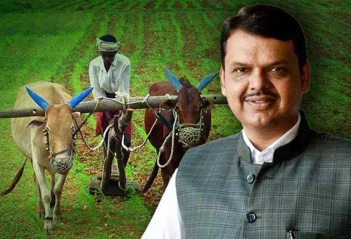 किसान नेताओं ने कर्ज माफी नीति पर सरकार से सवाल किए किसान नेताओं ने कर्ज माफी नीति पर सरकार से सवाल किए