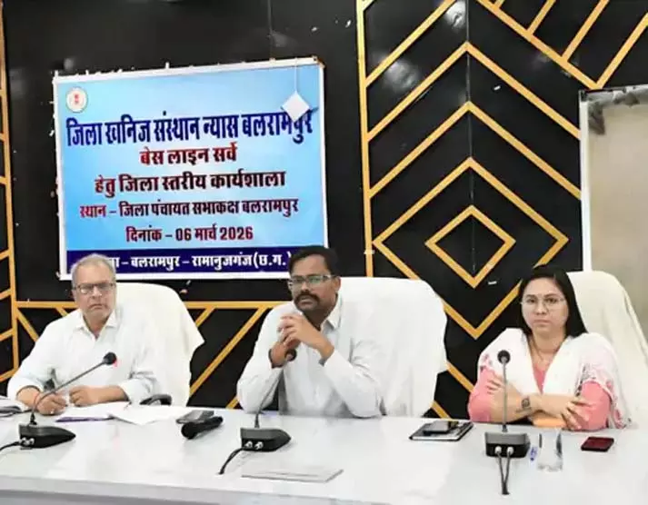 DMF बेसलाइन सर्वे पर कलेक्टर की बैठक DMF बेसलाइन सर्वे पर कलेक्टर की बैठक