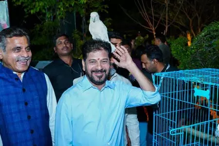 मुख्यमंत्री रेवंत रेड्डी ने हैदराबाद की मूसी नदी पर रात्रि पर्यटन को बढ़ावा देने की योजना बनाई मुख्यमंत्री रेवंत रेड्डी ने हैदराबाद की मूसी नदी पर रात्रि पर्यटन को बढ़ावा देने की योजना बनाई