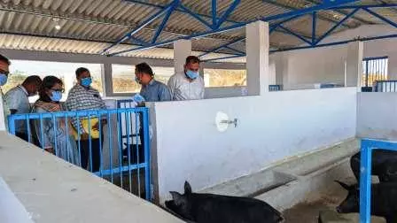 कलेक्टर ने कृषि विज्ञान केन्द्र में संचालित गतिविधियों का लिया जायजा कलेक्टर ने कृषि विज्ञान केन्द्र में संचालित गतिविधियों का लिया जायजा