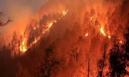Uttarkashi: जंगलों में आग की आशंका, वन विभाग सतर्क Uttarkashi: जंगलों में आग की आशंका, वन विभाग सतर्क