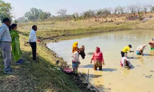 स्व-सहायता समूहों के माध्यम से आत्मनिर्भर बन रहीं धमतरी जिले की महिलाएं