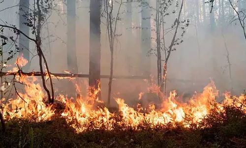 Odisha ने इस सीजन में 2,571 फायर पॉइंट्स पर नज़र रखी, 99.84% ने जवाब दिया Odisha ने इस सीजन में 2,571 फायर पॉइंट्स पर नज़र रखी, 99.84% ने जवाब दिया