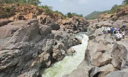 Ramnagar : उम्मीदें पहाड़ जितनी ऊंची, पूरी होना मुट्ठी भर जितना कम