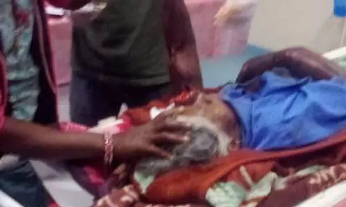 जंगली जानवर गांव में घुस आया, हमले से कई ग्रामीण घायल