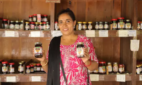 Gujarat की लखपति दीदी अस्मिताबेन पटेल ने 10 लाख रुपये सालाना आय से ग्रामीण महिलाओं को प्रेरित किया Gujarat की लखपति दीदी अस्मिताबेन पटेल ने 10 लाख रुपये सालाना आय से ग्रामीण महिलाओं को प्रेरित किया