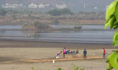 NCSCM सर्वे के बावजूद 23,000 वेटलैंड्स को कानूनी सुरक्षा देने का काम लालफीताशाही में फंसा हुआ NCSCM सर्वे के बावजूद 23,000 वेटलैंड्स को कानूनी सुरक्षा देने का काम लालफीताशाही में फंसा हुआ