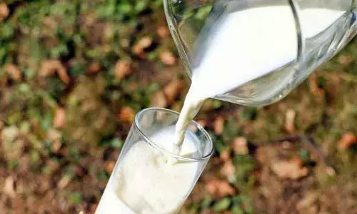 सरकारी और लोकल स्कूलों में स्टूडेंट्स को हफ़्ते में तीन बार Milk सरकारी और लोकल स्कूलों में स्टूडेंट्स को हफ़्ते में तीन बार Milk