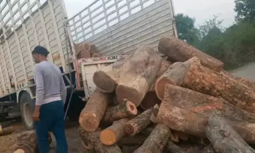 Kathua: अवैध लकड़ी तस्करी पर बड़ी कार्रवाई, ट्रक पकड़ा गया