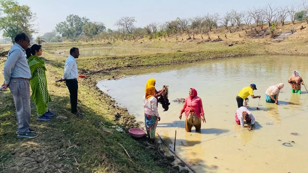 स्व-सहायता समूहों के माध्यम से आत्मनिर्भर बन रहीं धमतरी जिले की महिलाएं स्व-सहायता समूहों के माध्यम से आत्मनिर्भर बन रहीं धमतरी जिले की महिलाएं