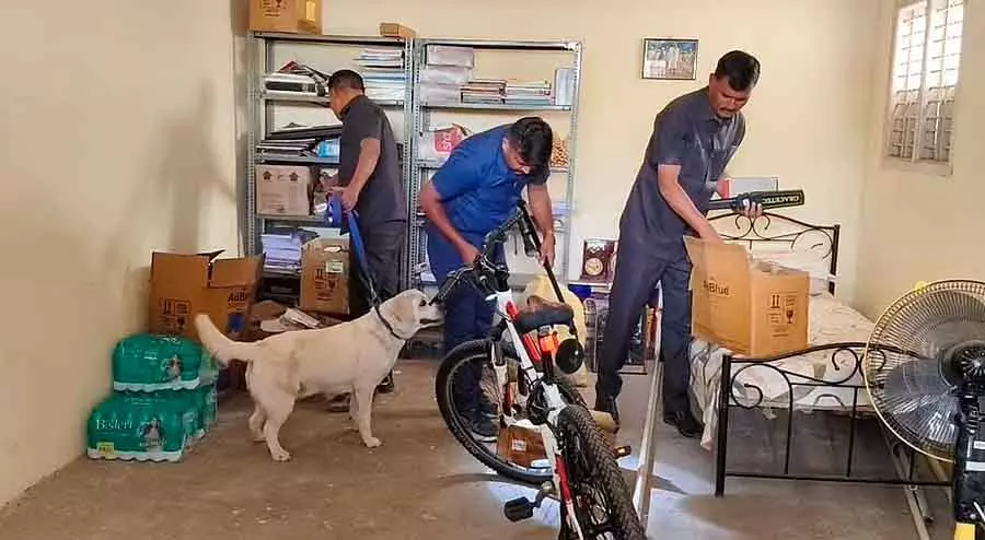 Karnataka Budget : पशुओं की बीमारियों का पता लगाने के लिए सीटी स्कैन Karnataka Budget : पशुओं की बीमारियों का पता लगाने के लिए सीटी स्कैन