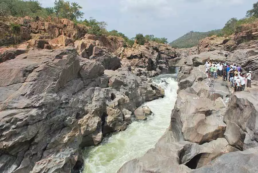 Ramnagar : उम्मीदें पहाड़ जितनी ऊंची, पूरी होना मुट्ठी भर जितना कम Ramnagar : उम्मीदें पहाड़ जितनी ऊंची, पूरी होना मुट्ठी भर जितना कम