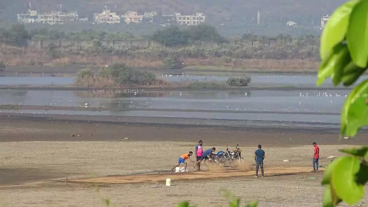 NCSCM सर्वे के बावजूद 23,000 वेटलैंड्स को कानूनी सुरक्षा देने का काम लालफीताशाही में फंसा हुआ NCSCM सर्वे के बावजूद 23,000 वेटलैंड्स को कानूनी सुरक्षा देने का काम लालफीताशाही में फंसा हुआ