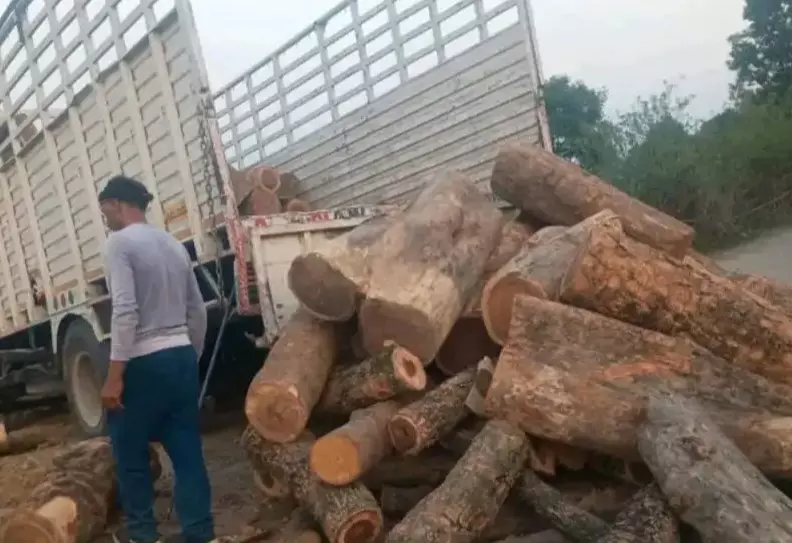 Kathua: अवैध लकड़ी तस्करी पर बड़ी कार्रवाई, ट्रक पकड़ा गया Kathua: अवैध लकड़ी तस्करी पर बड़ी कार्रवाई, ट्रक पकड़ा गया