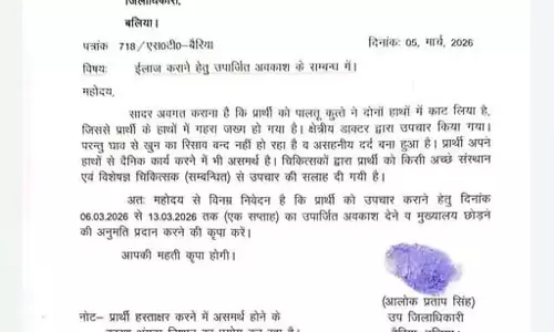 SDM ने अंगूठा लगाकर कलेक्टर से मांगी छुट्टी, पालतू कुत्ते के काटने का दिया हवाला