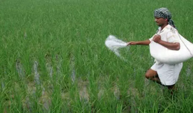 LNG सप्लाई में रुकावट से Telangana के किसानों के लिए यूरिया की कमी बढ़ने की आशंका