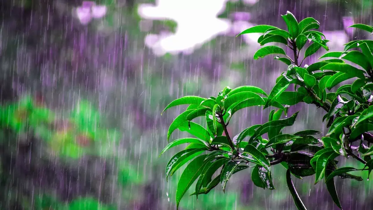 Cyclonic circulation से ओडिशा में भारी बारिश, 23 जिलों के लिए येलो वॉर्निंग जारी Cyclonic circulation से ओडिशा में भारी बारिश, 23 जिलों के लिए येलो वॉर्निंग जारी