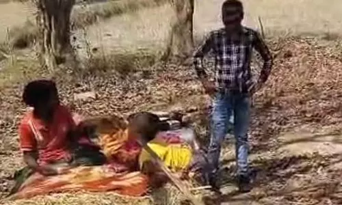 बाघ ने मोहला-मानपुर में मचाया उत्पात, मवेशियों को बनाया निवाला