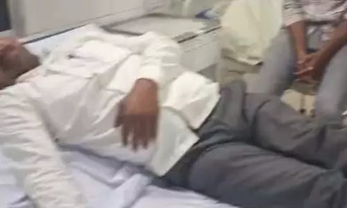 अस्पताल के पास मधुमक्खियों का आतंक, कांग्रेस नेता सहित 8 लोग घायल अस्पताल के पास मधुमक्खियों का आतंक, कांग्रेस नेता सहित 8 लोग घायल