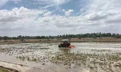 TIRUCHY: डेल्टा क्षेत्र में 125 करोड़ रुपये की लागत से गाद निकालने का काम शुरू TIRUCHY: डेल्टा क्षेत्र में 125 करोड़ रुपये की लागत से गाद निकालने का काम शुरू