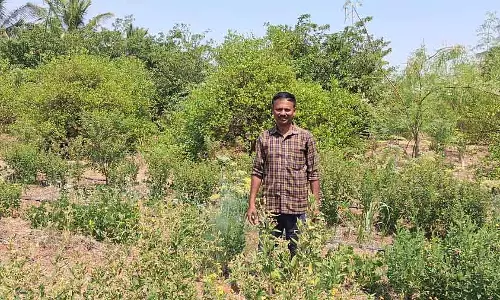 कम खर्च में साल भर की कमाई - Model किसान हनुमनथप्पा