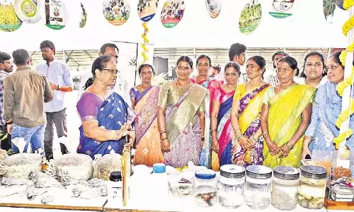 PJTAU में दो दिन का मेगा किसान मेला महिला किसानों के लिए