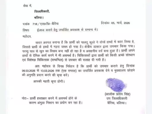 SDM ने अंगूठा लगाकर कलेक्टर से मांगी छुट्टी, पालतू कुत्ते के काटने का दिया हवाला SDM ने अंगूठा लगाकर कलेक्टर से मांगी छुट्टी, पालतू कुत्ते के काटने का दिया हवाला